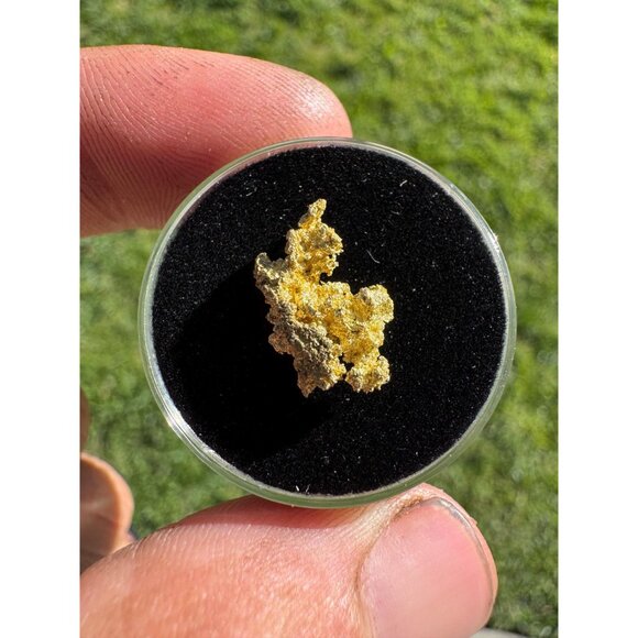 California Native Gold Crystal - 1.18 grams - Picture 5 of 5
